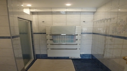 Douche avec séchoir de la salle de bains Douche avec séchoir de la salle de bains